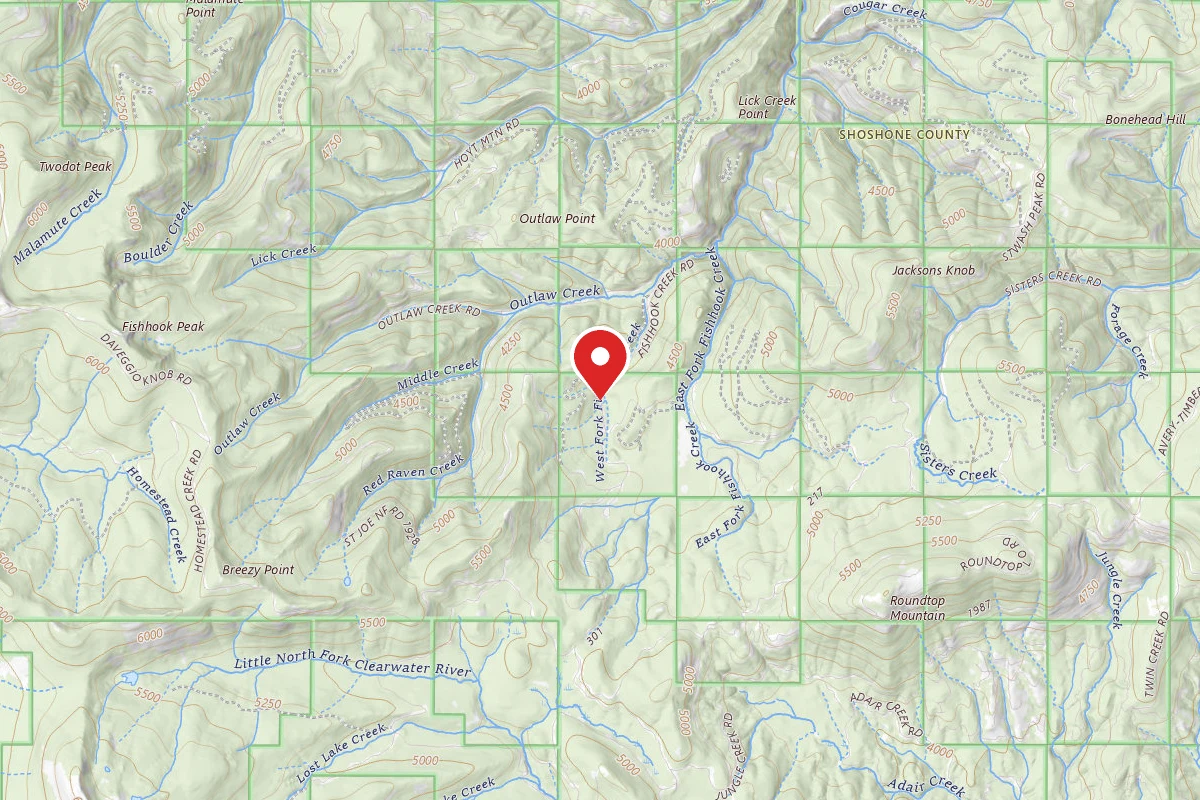 Idaho Panhandle Dispersed Campsite RD 301 MI 9.8