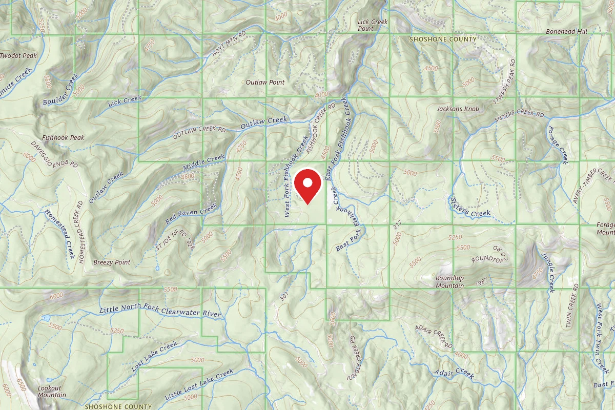Idaho Panhandle Dispersed Campsite RD 301 MI 10.6