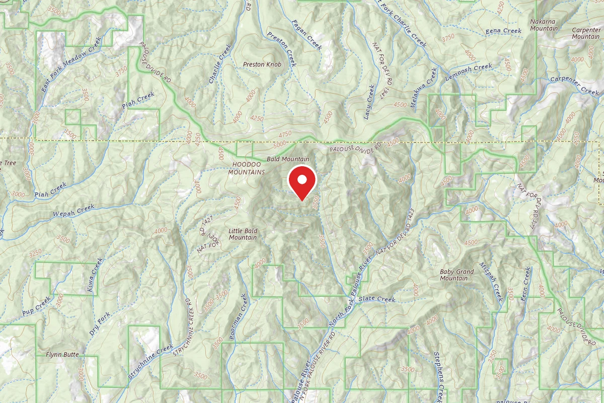 Nez Perce-Clearwater Dispersed Campsite PAL820034RD-001