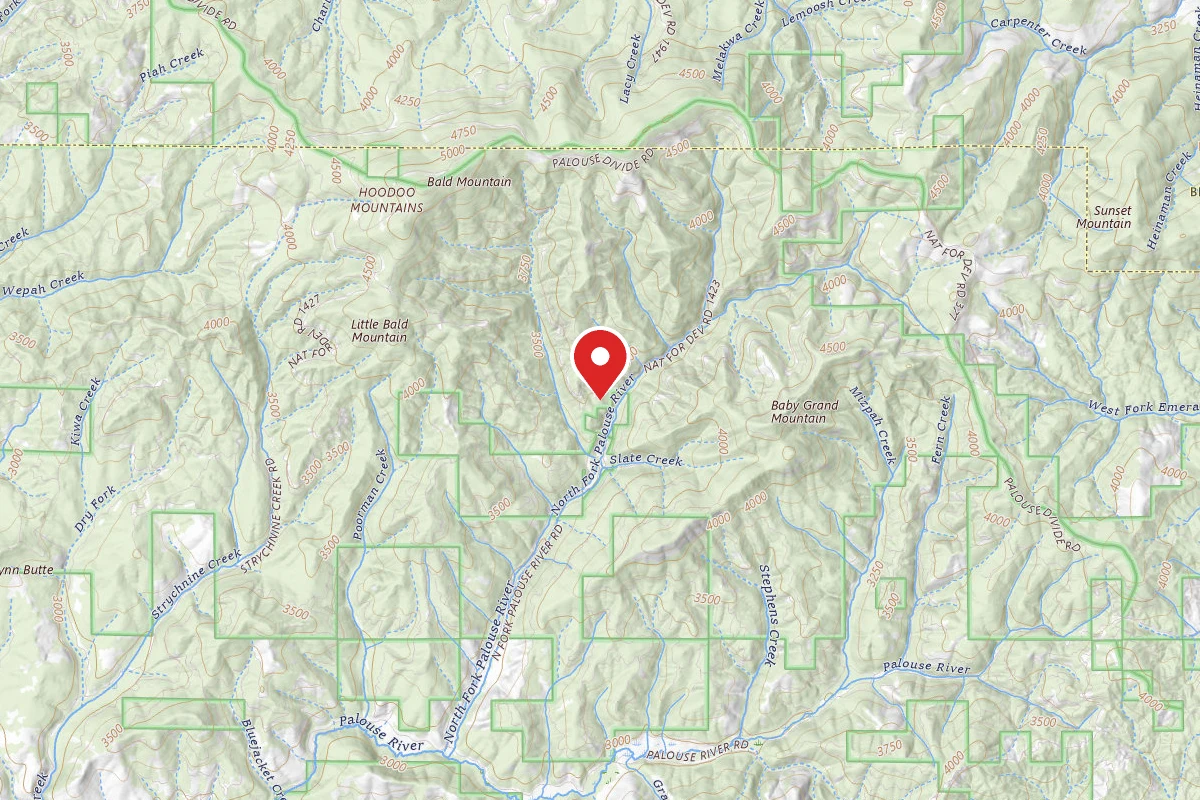 Nez Perce-Clearwater Dispersed Campsite PAL1423RD-001