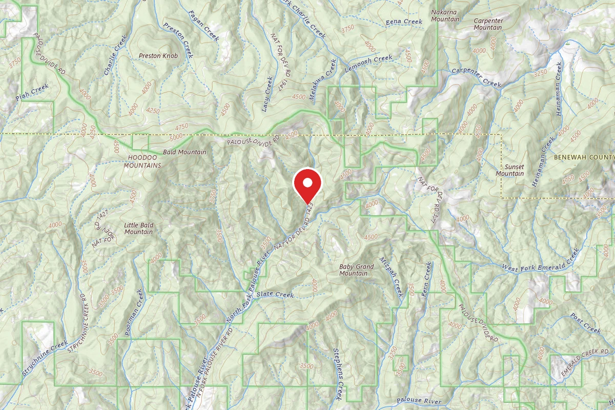 Nez Perce-Clearwater Dispersed Campsite PAL767RD-001