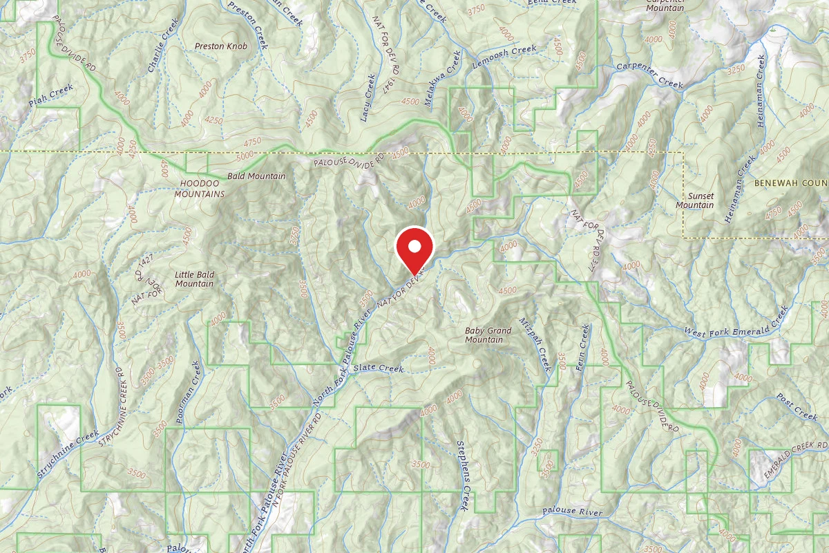 Nez Perce-Clearwater Dispersed Campsite PAL767RD-002