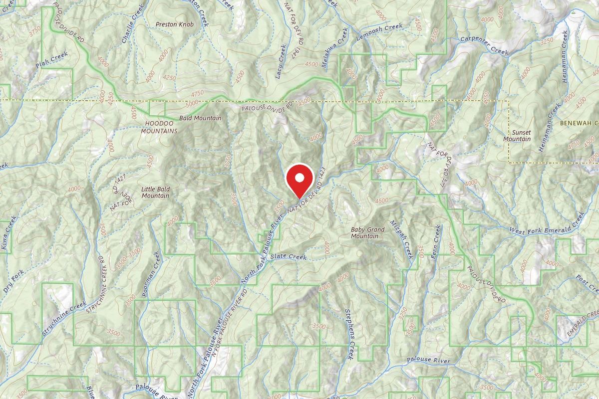 Nez Perce-Clearwater Dispersed Campsite PAL767RD-003