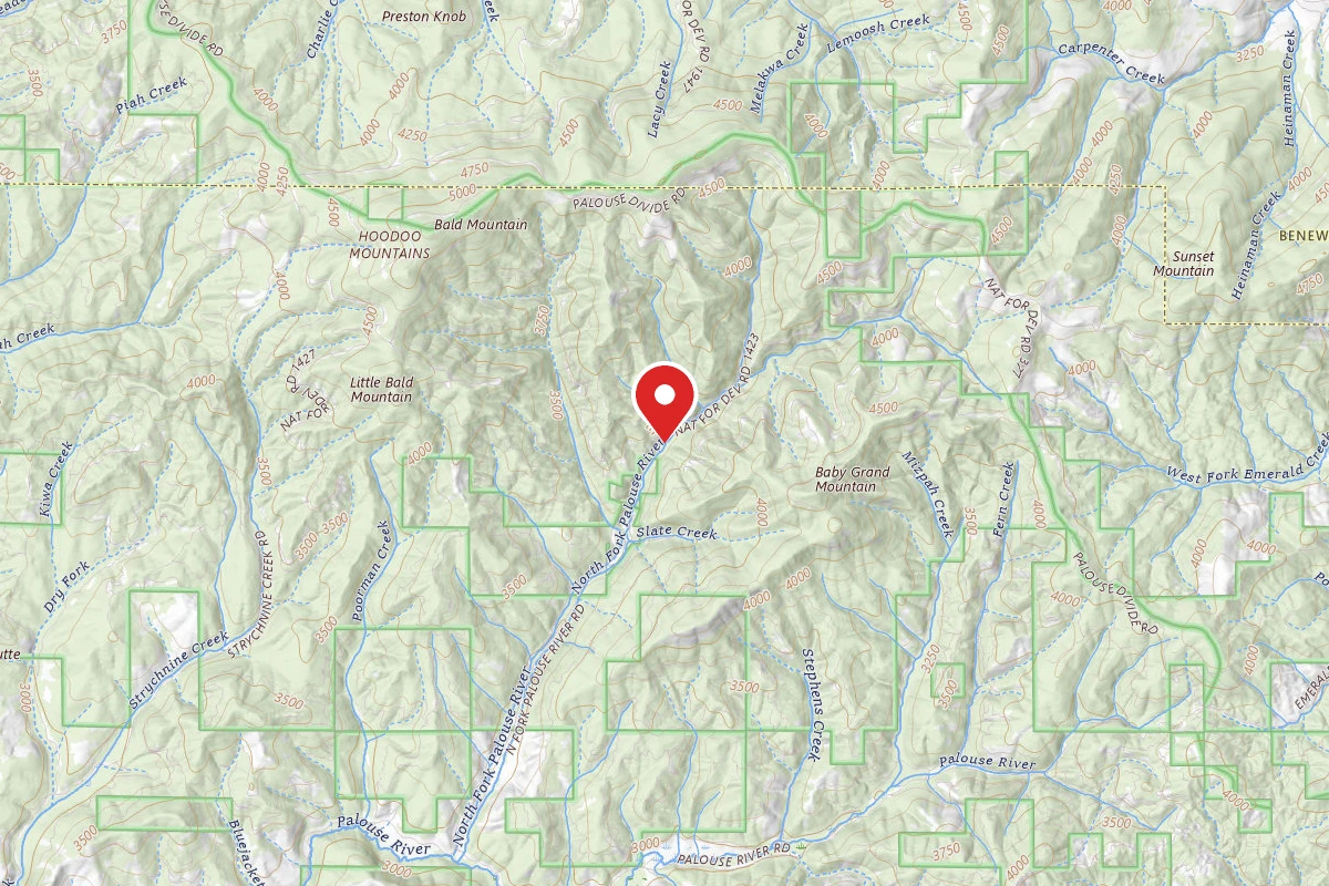 Nez Perce-Clearwater Dispersed Campsite PAL767RD-004