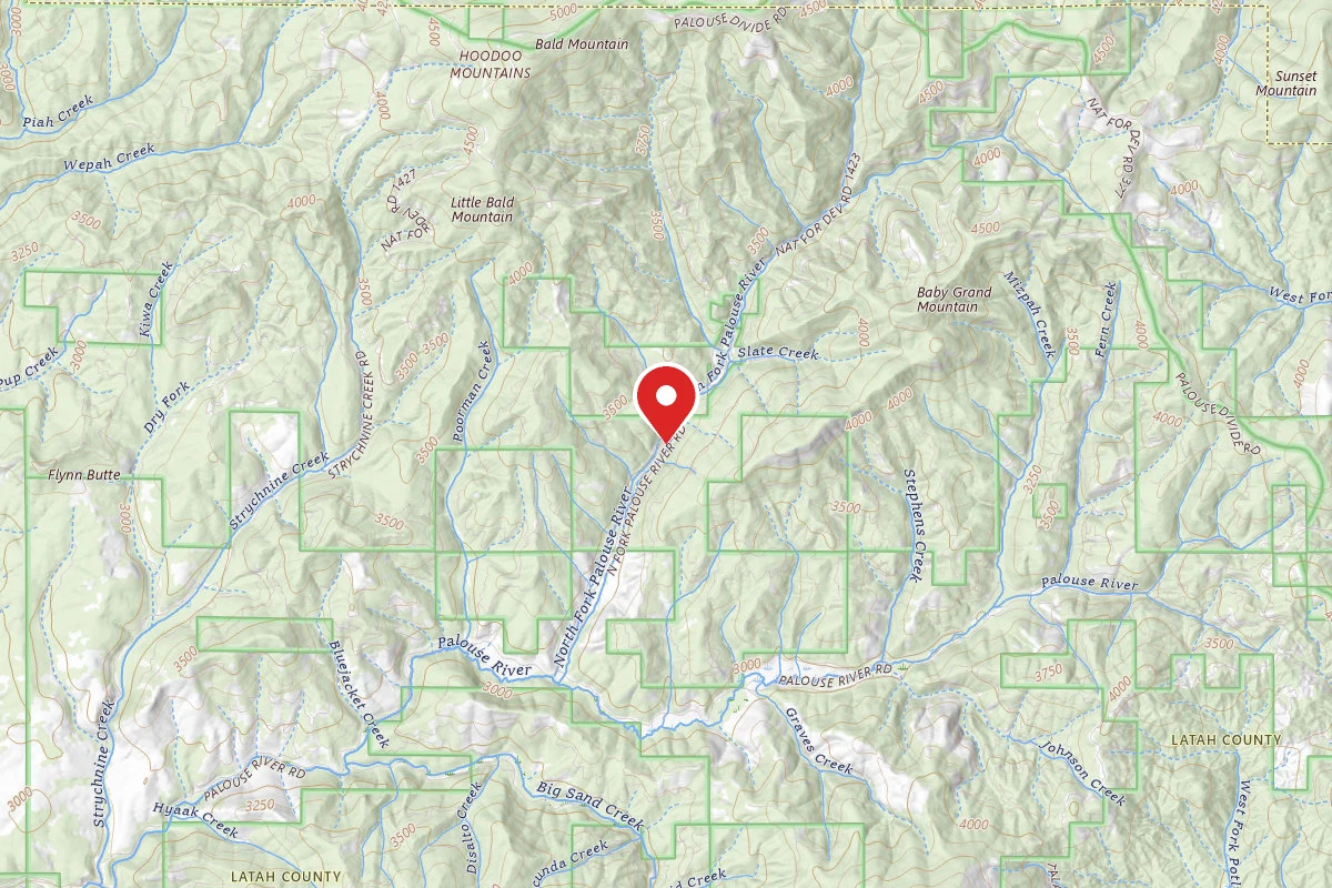 Nez Perce-Clearwater Dispersed Campsite PAL767RD-005