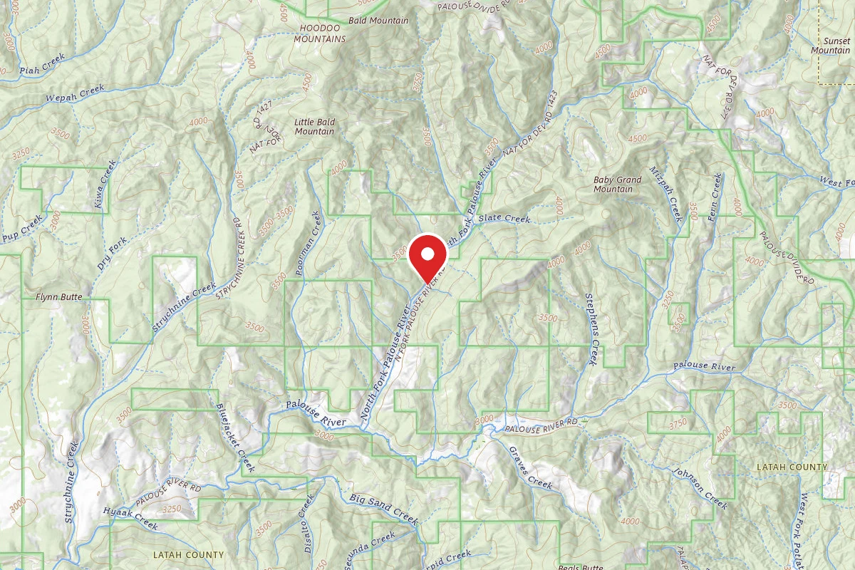 Nez Perce-Clearwater Dispersed Campsite PAL767RD-006A