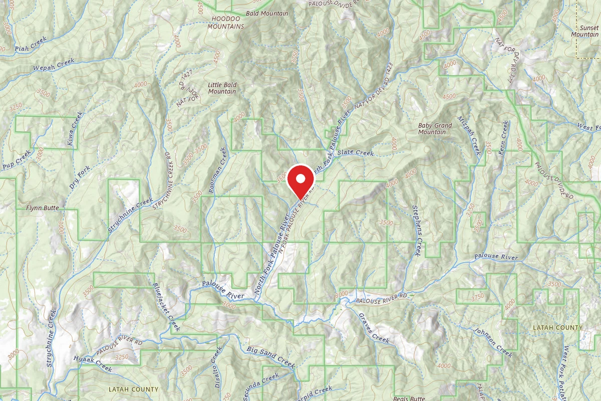 Nez Perce-Clearwater Dispersed Campsite PAL767RD-006B