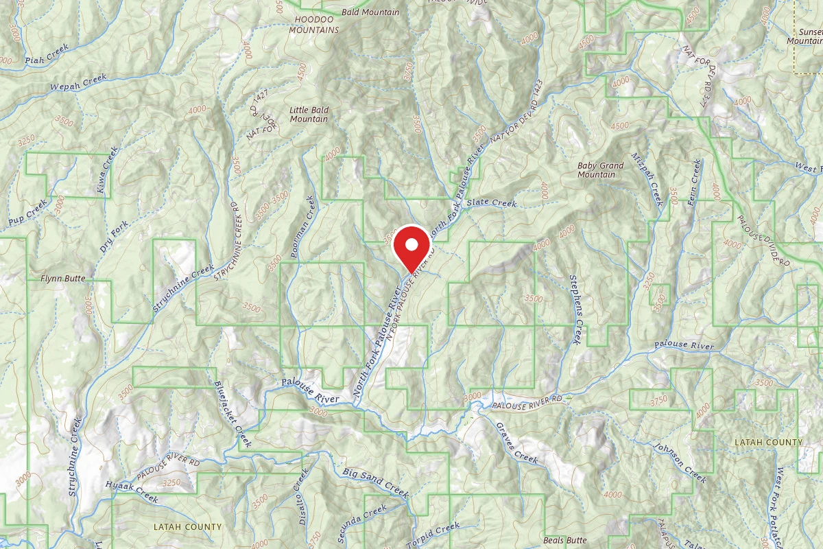 Nez Perce-Clearwater Dispersed Campsite PAL767RD-007