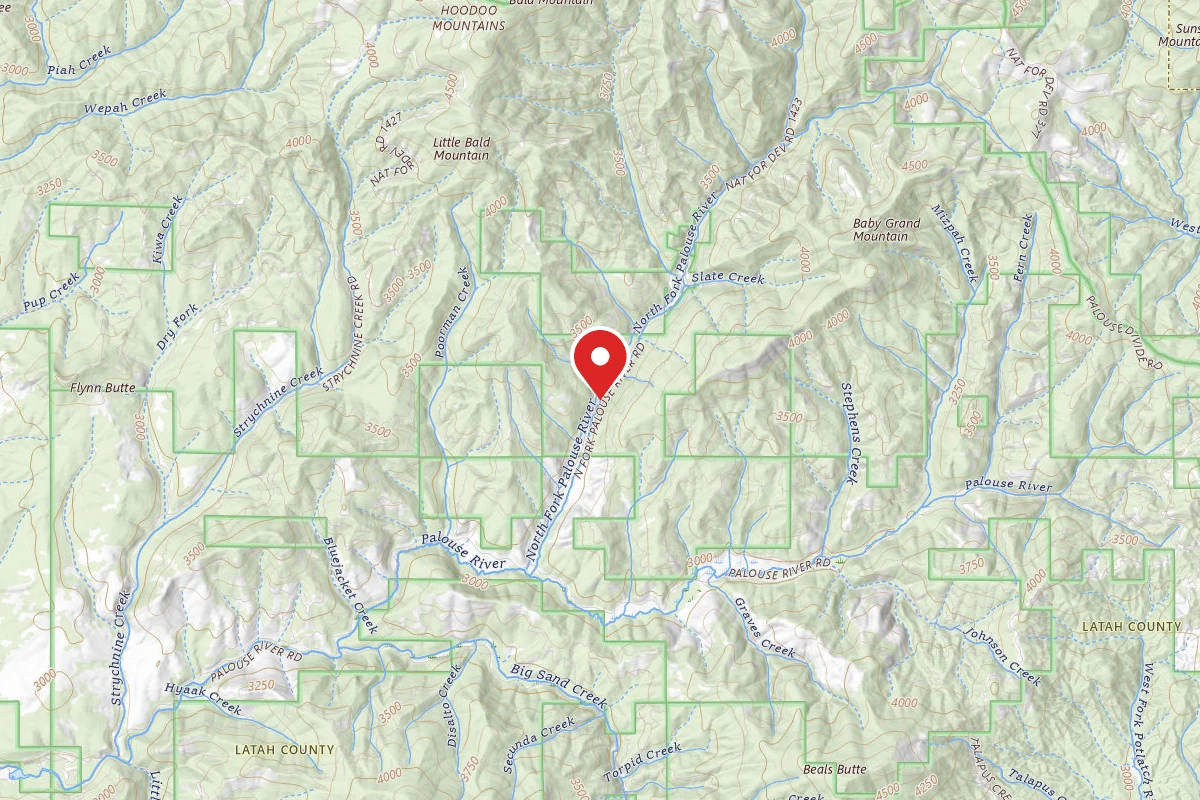 Nez Perce-Clearwater Dispersed Campsite PAL767RD-008