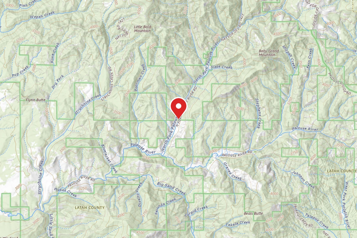 Nez Perce-Clearwater Dispersed Campsite PAL767RD-011