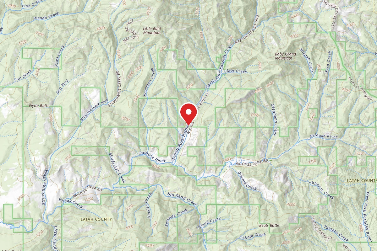 Nez Perce-Clearwater Dispersed Campsite PAL767RD-012A