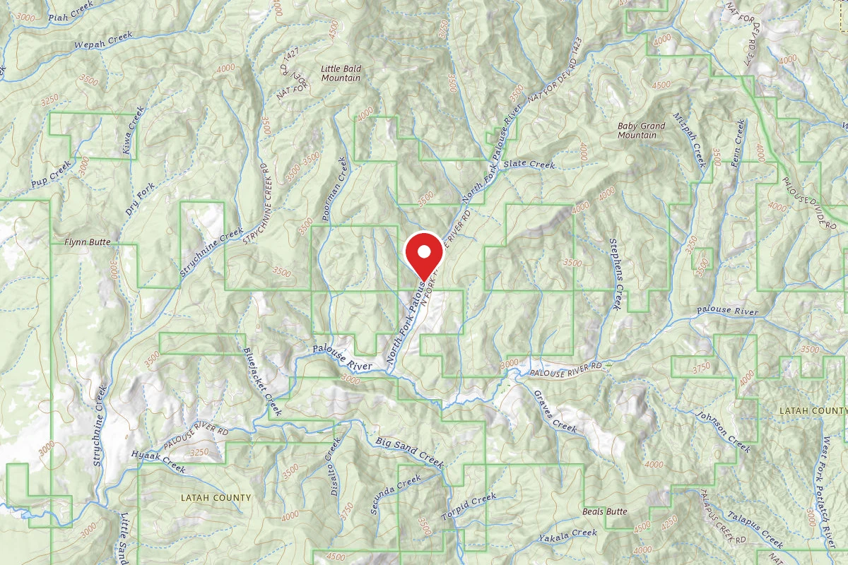 Nez Perce-Clearwater Dispersed Campsite PAL767RD-012B