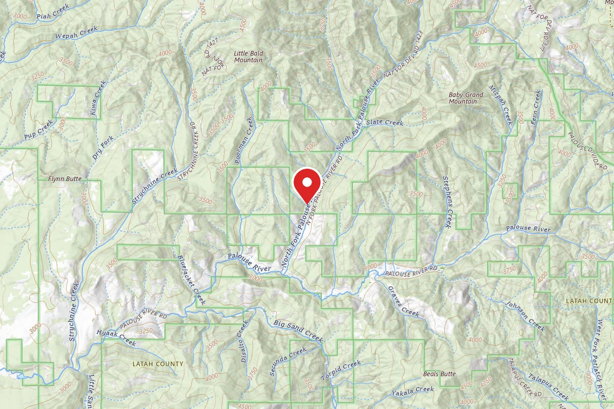 Nez Perce-Clearwater Dispersed Campsite PAL767CRD-001