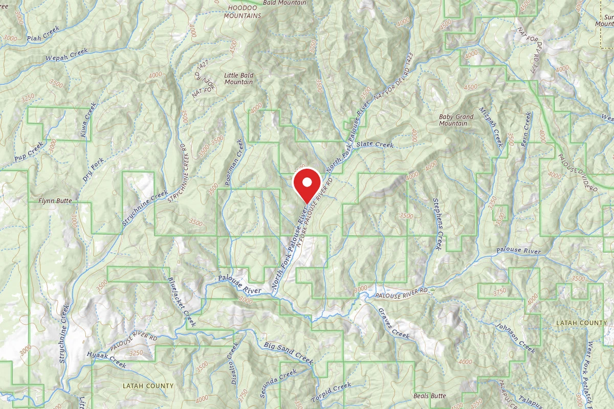 Nez Perce-Clearwater Dispersed Campsite PAL767CRD-002