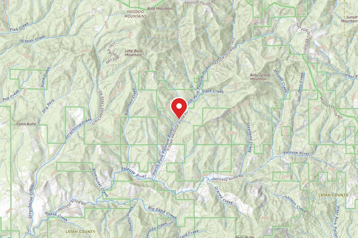 Nez Perce-Clearwater Dispersed Campsite PAL767CRD-004