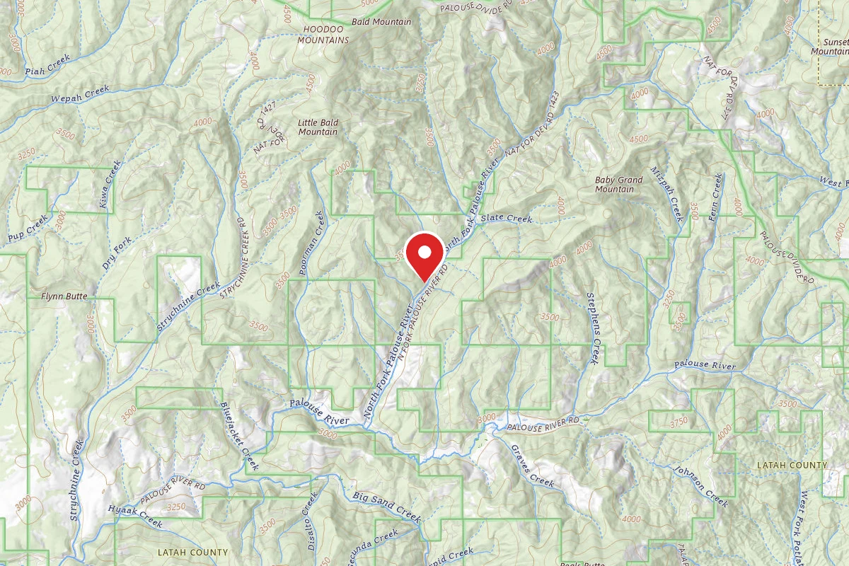 Nez Perce-Clearwater Dispersed Campsite PAL767CRD-005