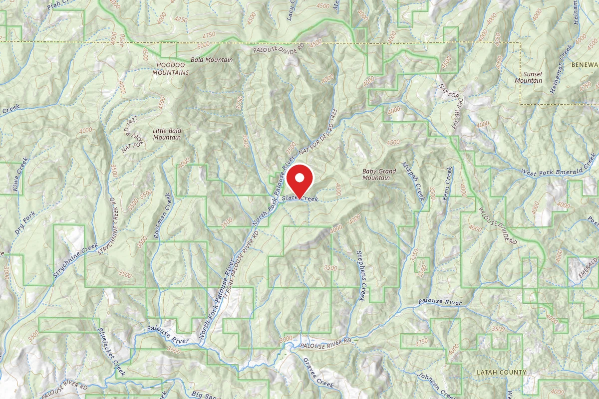 Nez Perce-Clearwater Dispersed Campsite PAL1433RD-001