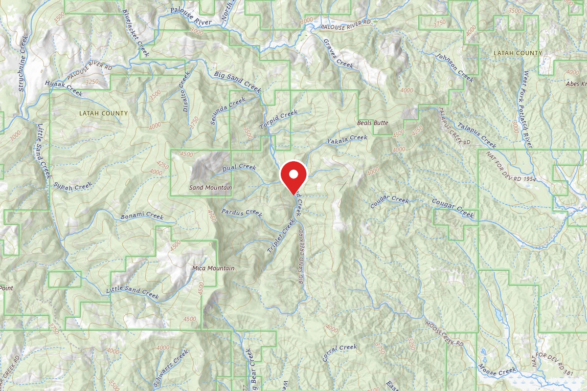 Nez Perce-Clearwater Dispersed Campsite PAL381CRD-001
