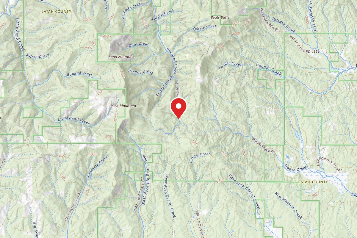 Nez Perce-Clearwater Dispersed Campsite PAL381RD-001