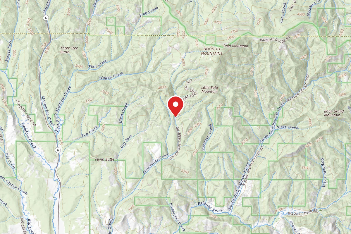 Nez Perce-Clearwater Dispersed Campsite PAL1427RD-002