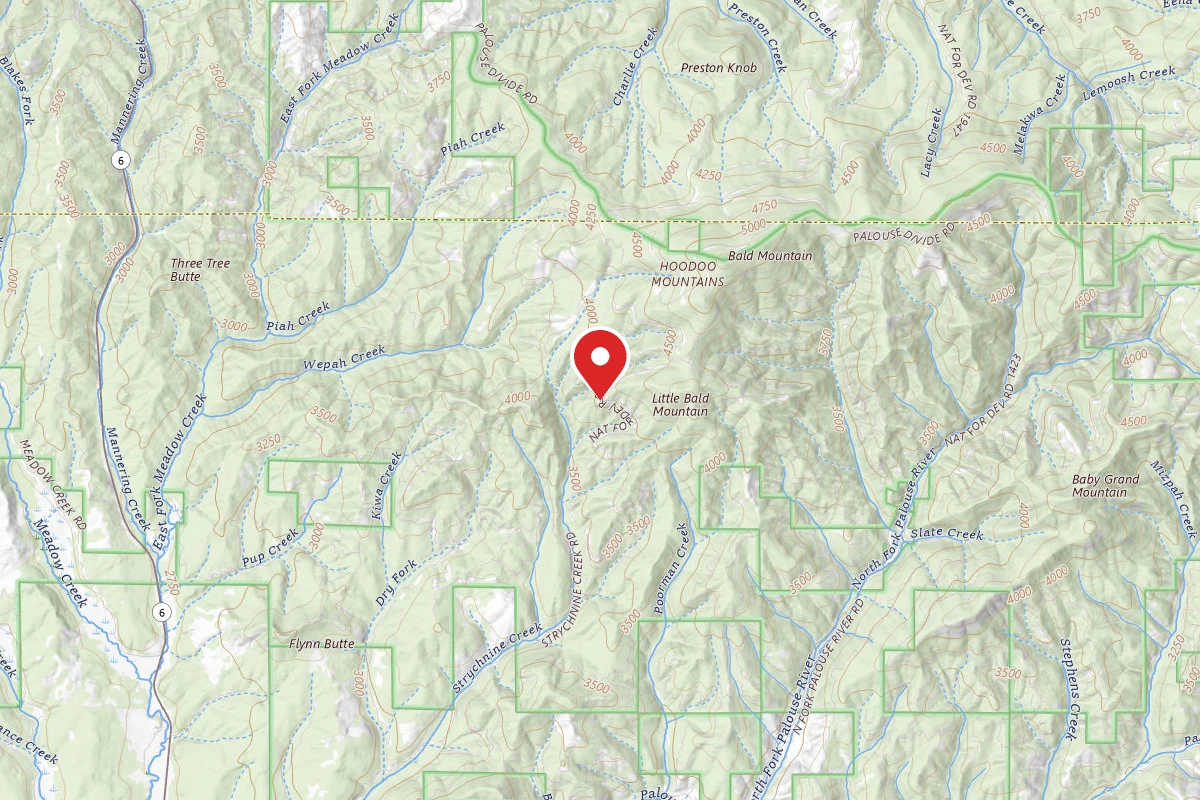 Nez Perce-Clearwater Dispersed Campsite PAL4710RD-001