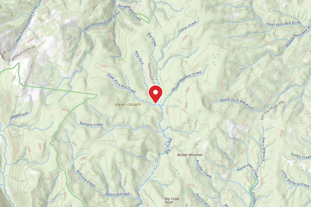Nez Perce-Clearwater Dispersed Campsite RR311RD-004