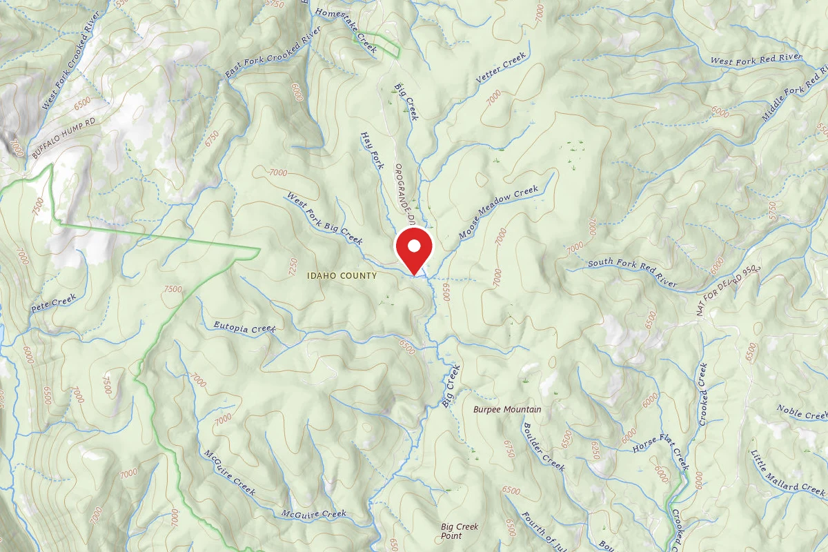 Nez Perce-Clearwater Dispersed Campsite RR311RD-005