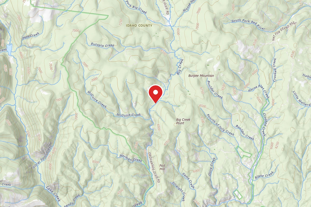 Nez Perce-Clearwater Dispersed Campsite RR311RD-009