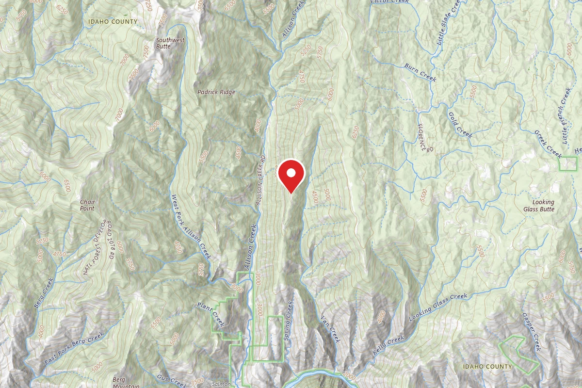 Nez Perce-Clearwater Dispersed Campsite SR221RD-008