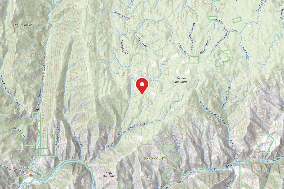 Nez Perce-Clearwater Dispersed Campsite SR394RD-013