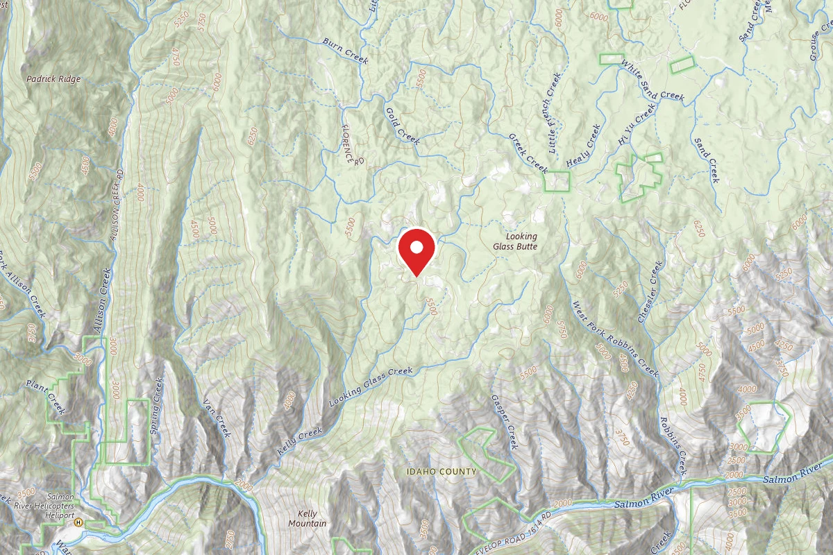 Nez Perce-Clearwater Dispersed Campsite SR394RD-012