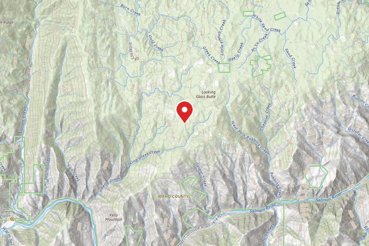 Nez Perce-Clearwater Dispersed Campsite SR394RD-011