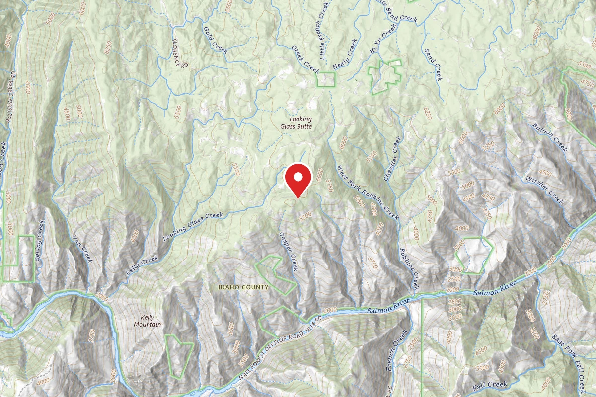 Nez Perce-Clearwater Dispersed Campsite SR9916RD-003