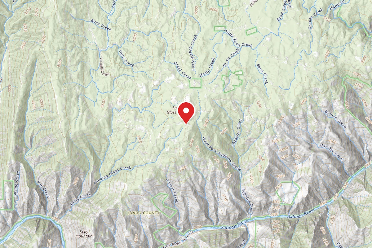 Nez Perce-Clearwater Dispersed Campsite SR9916RD-001