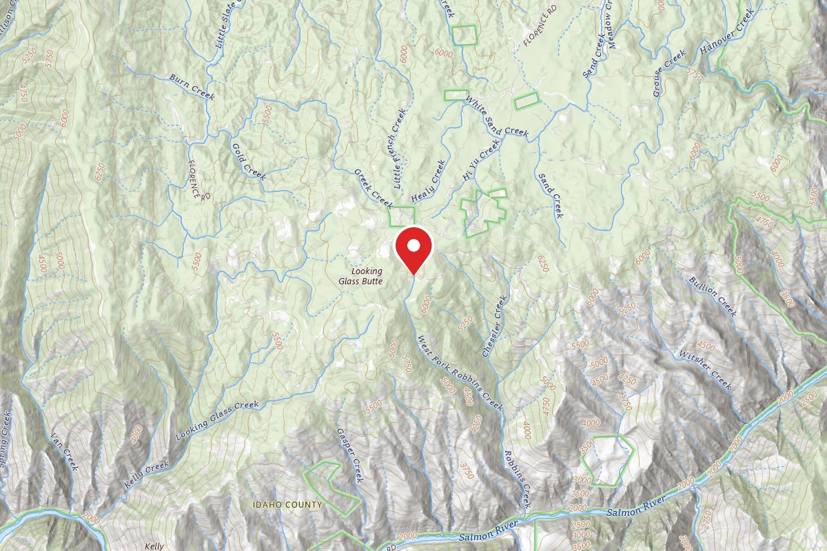 Nez Perce-Clearwater Dispersed Campsite SR394RD-010