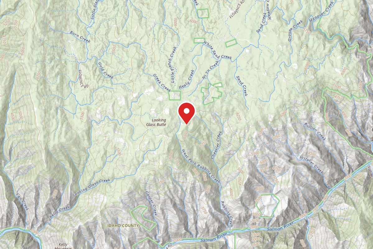 Nez Perce-Clearwater Dispersed Campsite SR394RD-009