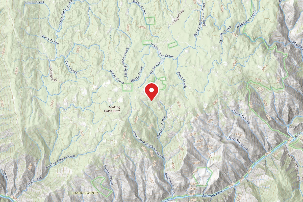 Nez Perce-Clearwater Dispersed Campsite SR394RD-008