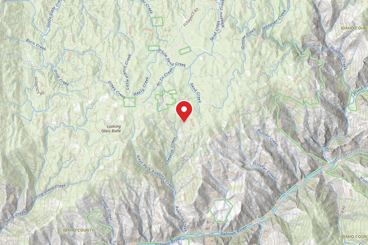 Nez Perce-Clearwater Dispersed Campsite SR394RD-007