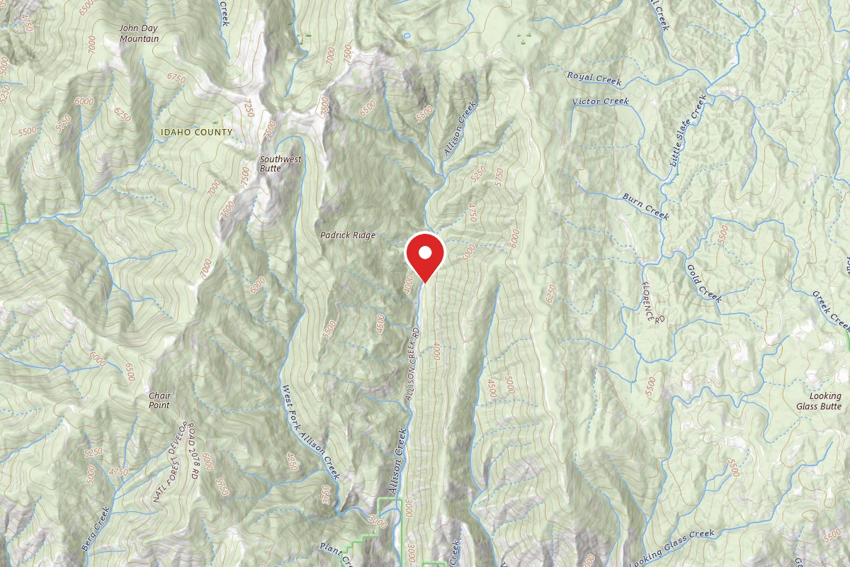 Nez Perce-Clearwater Dispersed Campsite SR221RD-004