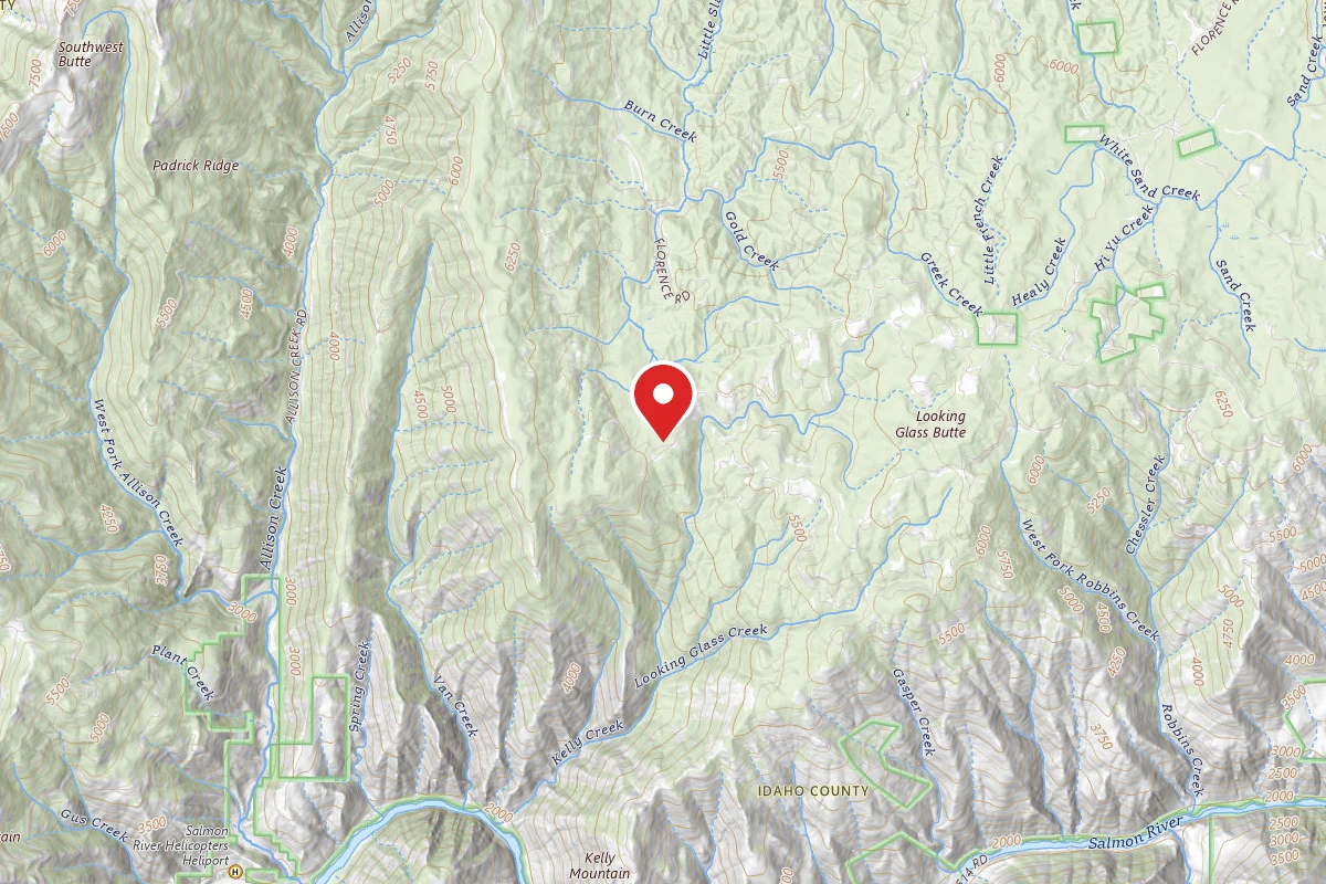 Nez Perce-Clearwater Dispersed Campsite SR221RD-009A