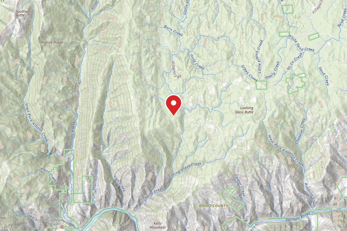 Nez Perce-Clearwater Dispersed Campsite SR221RD-009B