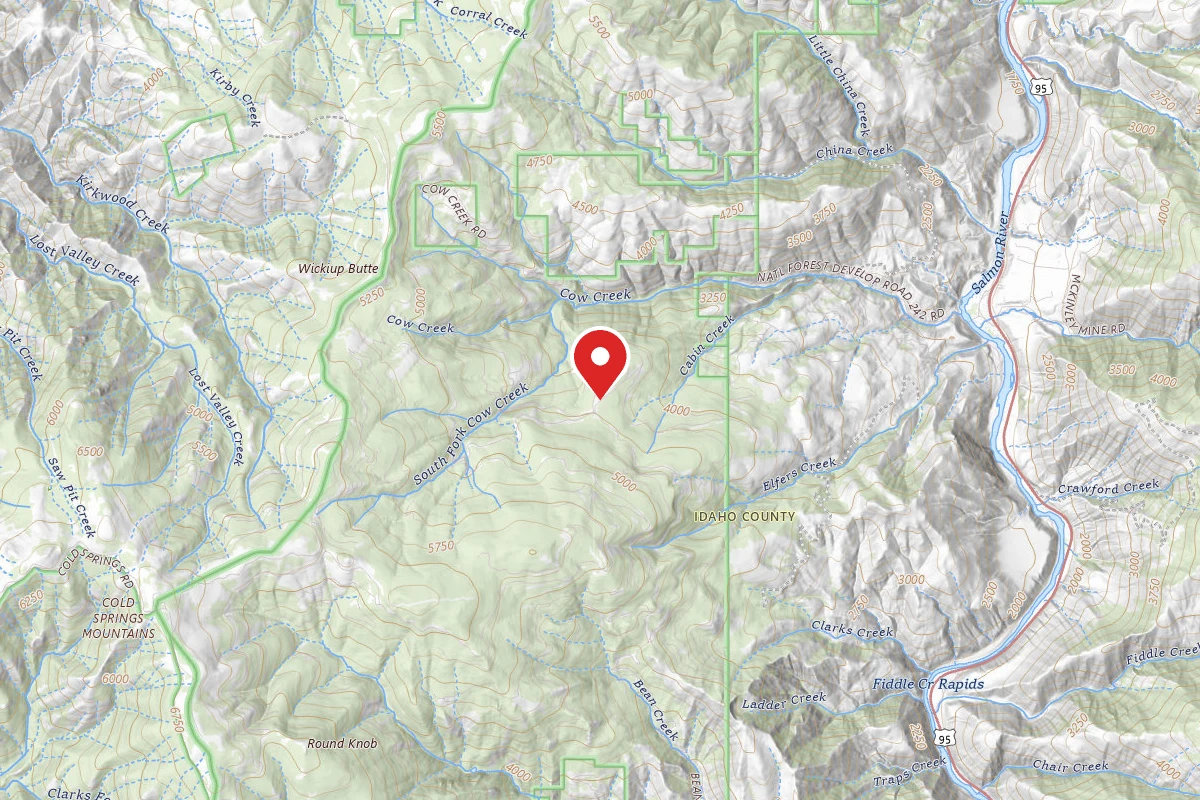 Nez Perce-Clearwater Dispersed Campsite SR247RD-002