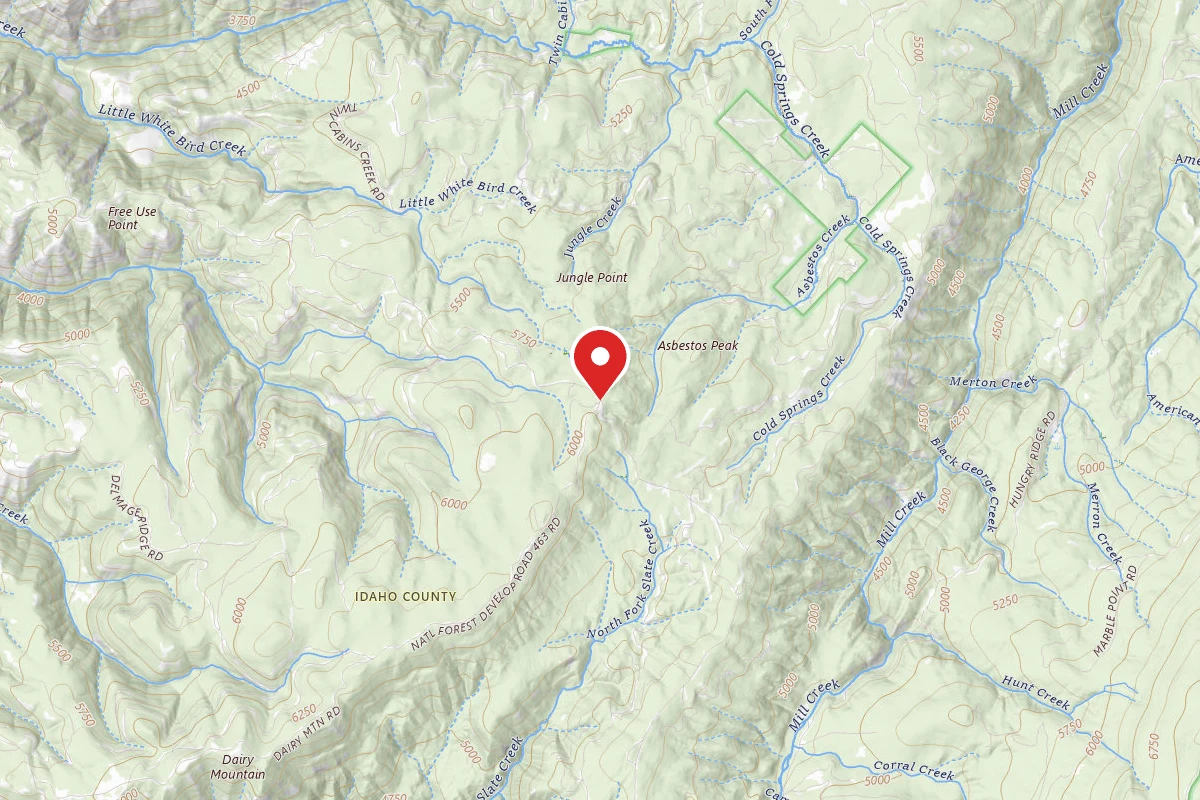 Nez Perce-Clearwater Dispersed Campsite SR463RD-002