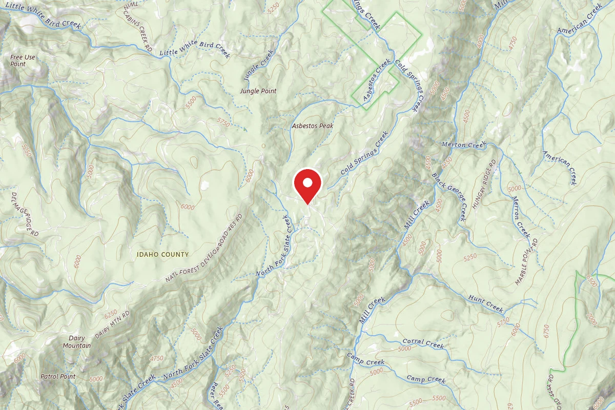 Nez Perce-Clearwater Dispersed Campsite SR243RD-001A