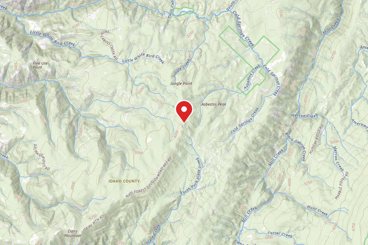 Nez Perce-Clearwater Dispersed Campsite CW463RD-001