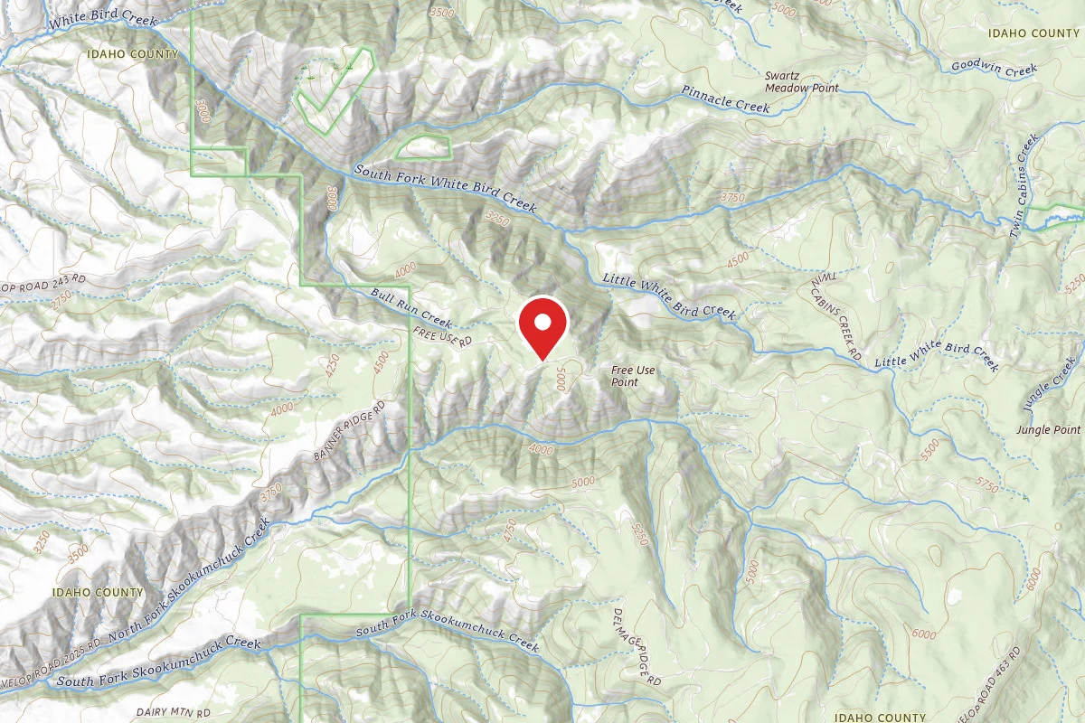 Nez Perce-Clearwater Dispersed Campsite SR243RD-004A