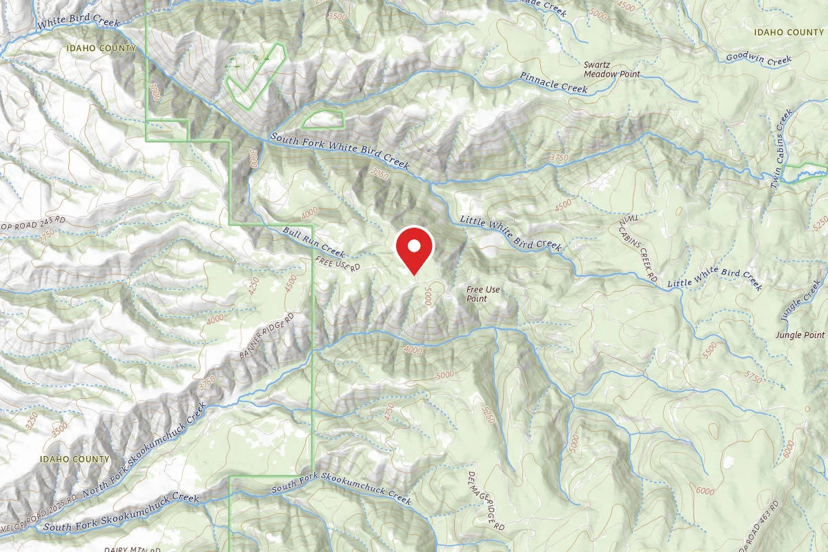Nez Perce-Clearwater Dispersed Campsite SR243RD-004B