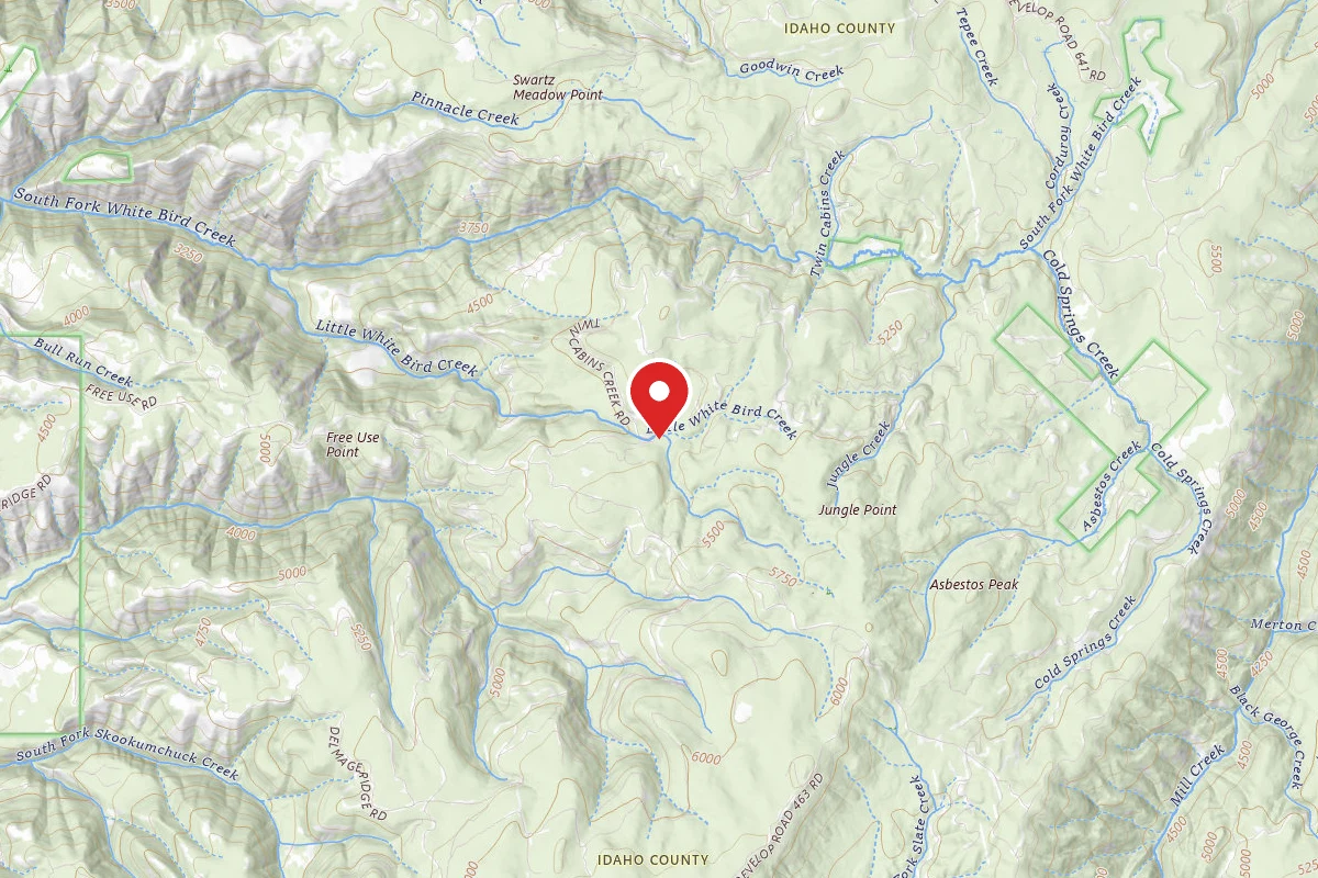 Nez Perce-Clearwater Dispersed Campsite SR642RD-005