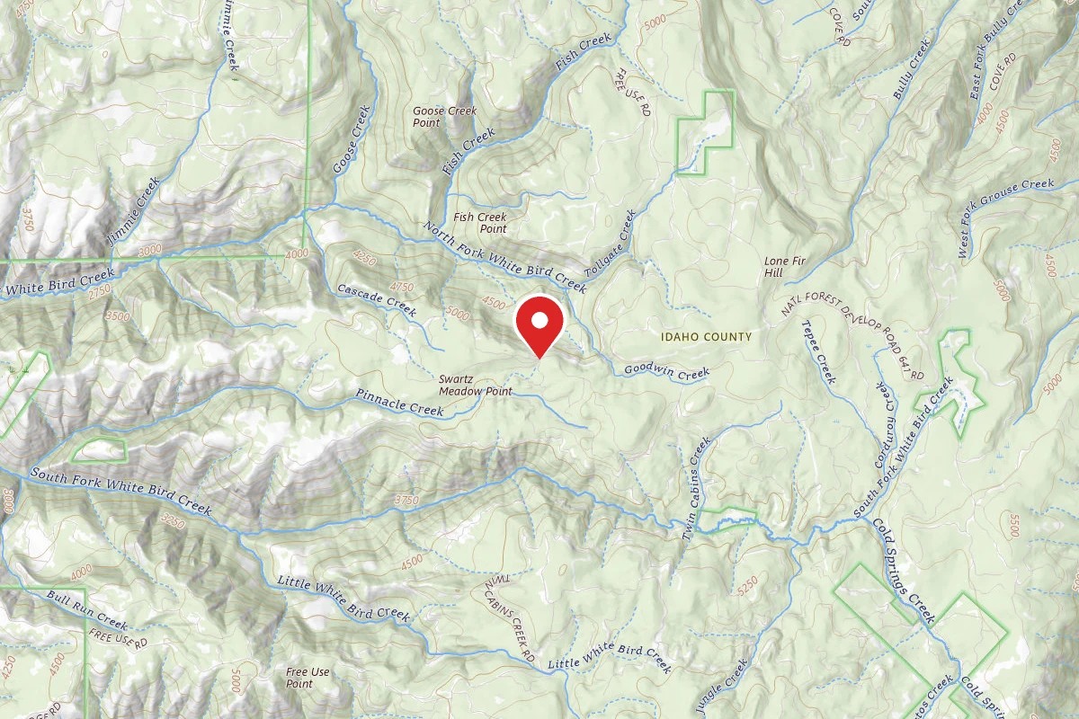 Nez Perce-Clearwater Dispersed Campsite CW479GRD-001