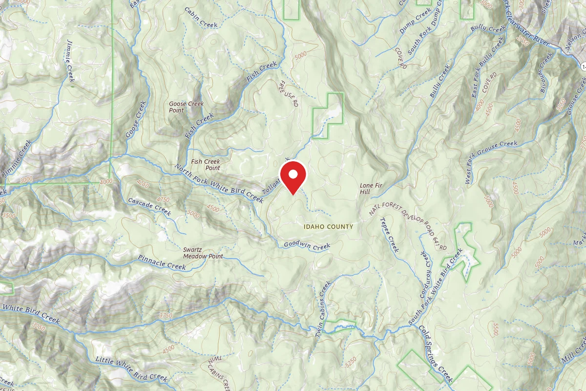 Nez Perce-Clearwater Dispersed Campsite CW479DRD-001